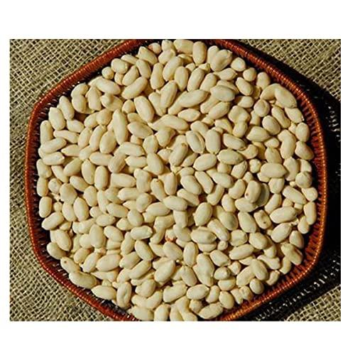 Avenn Avenn Jumbo Salted Peanuts | Gujrat Special Roasted Mungfali | Jumbo Groundnut Singdana Seed | Salted Sing with Husk | Fresh Grade A Bharuch Khari Sing Skin Removed (Peeled Skin, 600 GM)