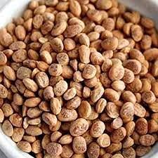 SAARA SAARA Almondette Seeds, Chironji, Charoli, Saara Paruppu, 100g