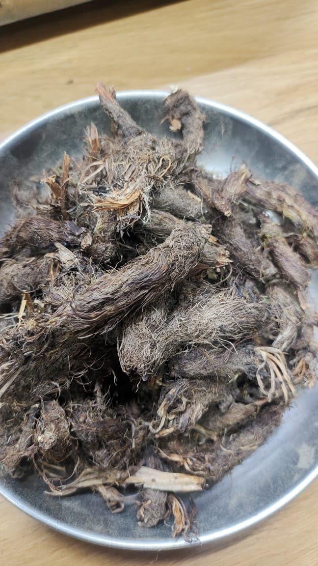 Generic JATAMANSI BROWN Nardostachys Aayurvedic Jadi Buti, Billilotan, Jatamanji, Mamsi, Jata, Jatila, Nardus root, Baalchad, 50 Grams pack of 01