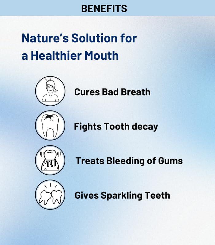 Zinda Tilismath Zinda Tilismath Farooky Tooth Powder 80g | Premium Ayurvedic Oral Care | Stops Gum Bleeding, Tooth Decay | All Natural, Vegan | Trusted by Millions Globally (Pack of 3)