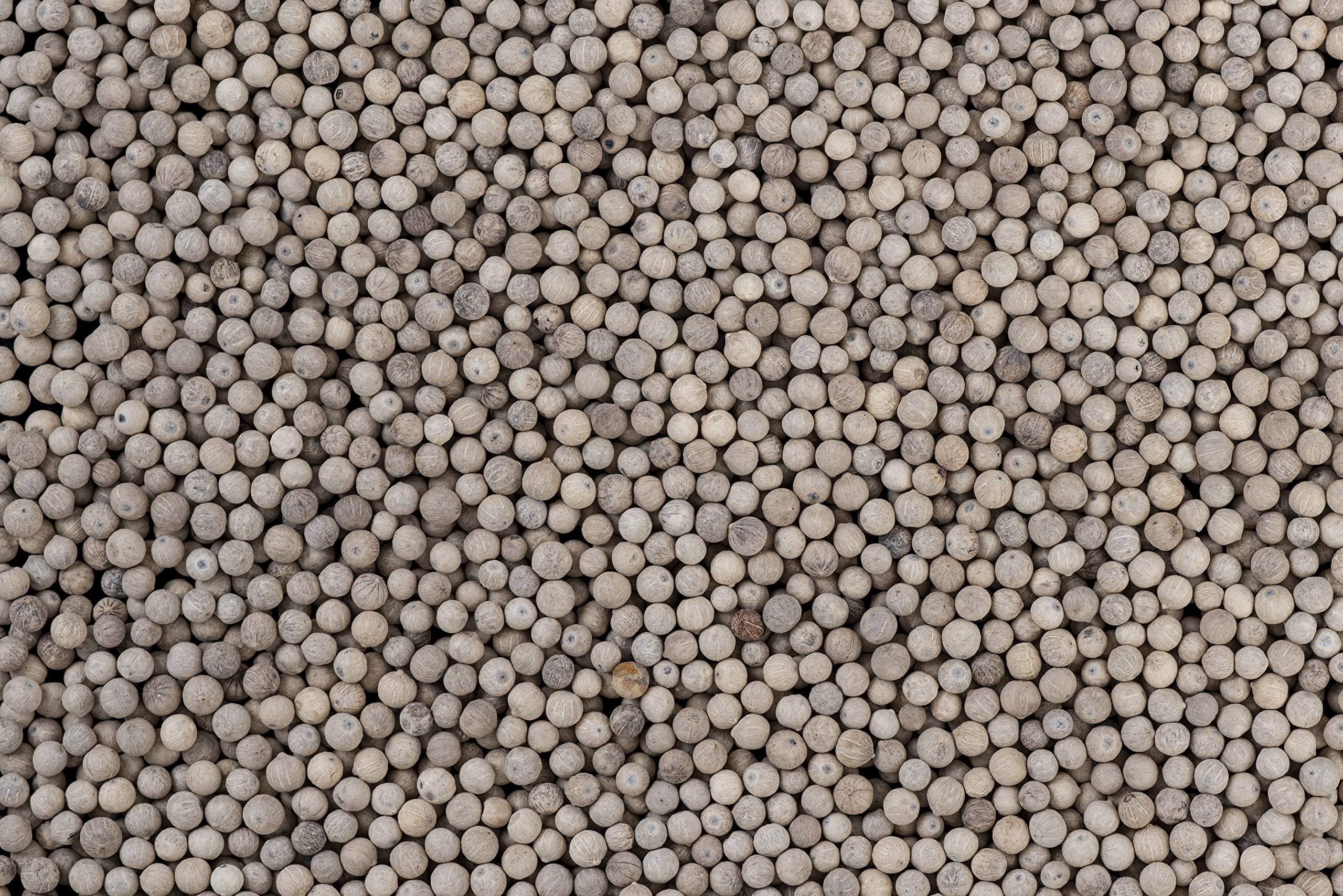 EARTHROOT EarthRoot Natural Whole White Pepper 100 gm | Safed Mirch | Sabut Safed Mirch | White Pepper corn | Can be used in various dishes | Herbal seeds