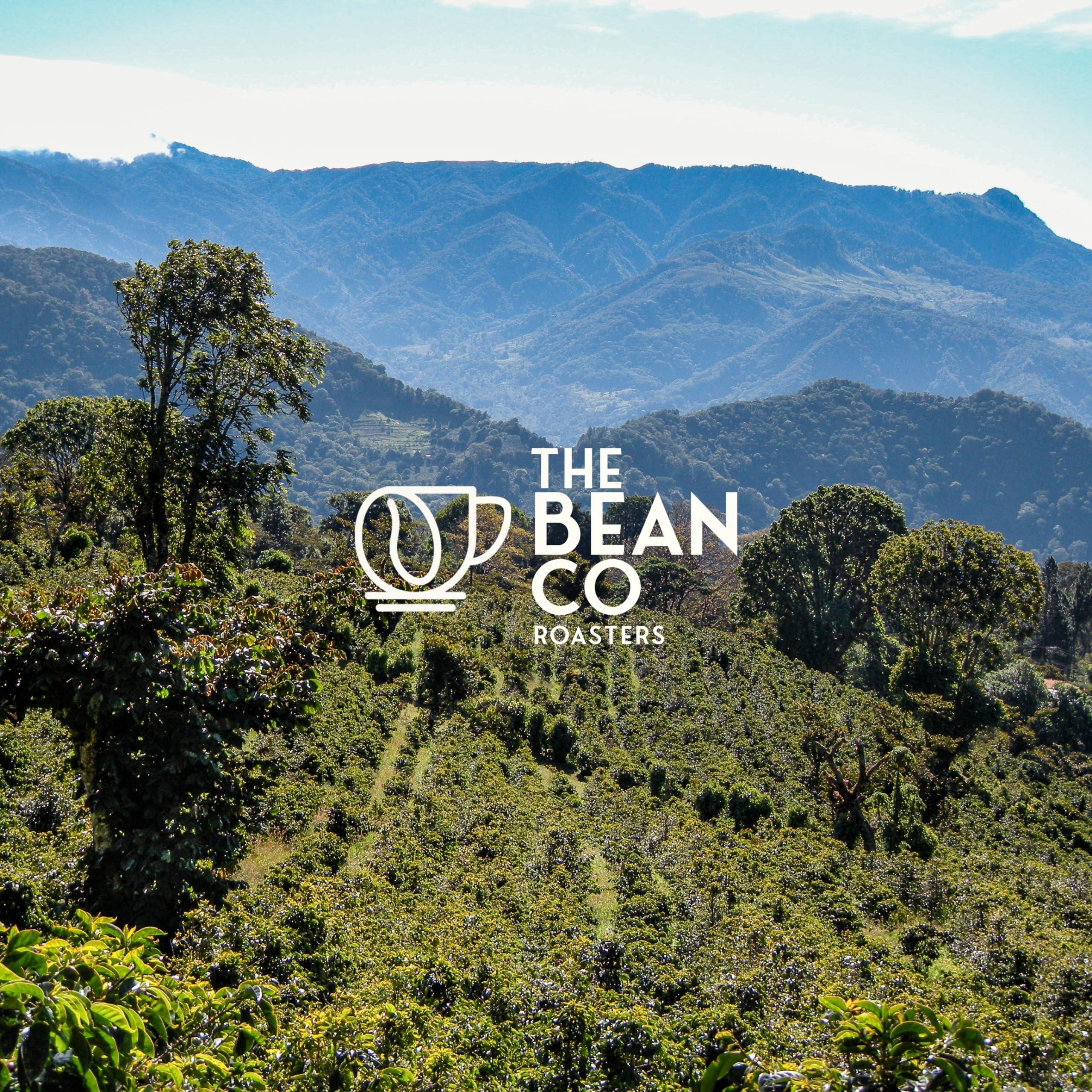 THE BEAN CO THE BEAN CO Arabica Blend | Medium Roast | Roasted Coffee Beans | 100% Arabica (Whole Bean, 500 g)