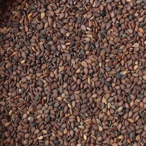 NPPV ORGANICS NPPV ORGANICS Natural Red Sesame Seeds/ Red Til Seeds/ Red Ellu 100% Pure & Organic (250 g)