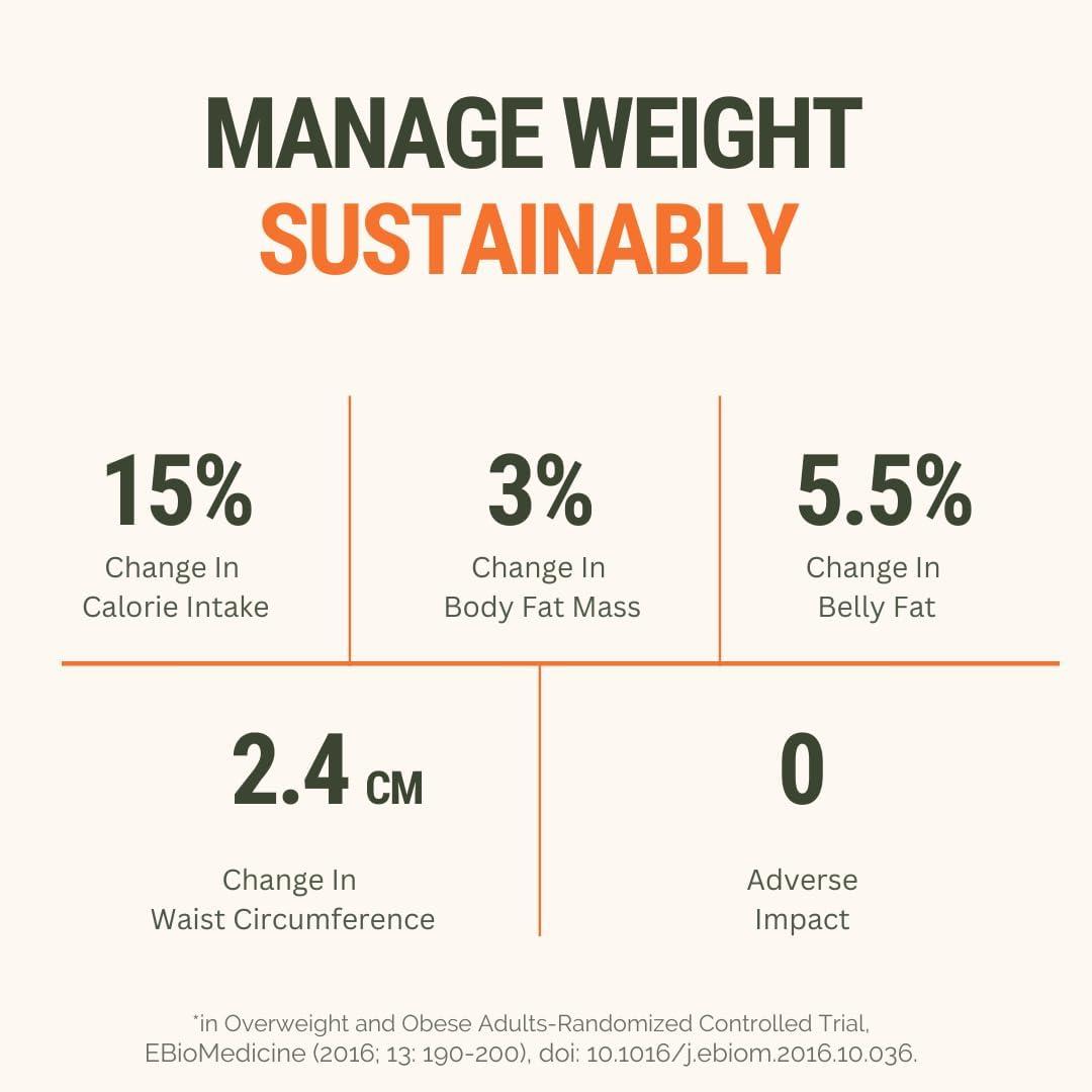 The Healthspan Co. The Healthspan Co. Sustainably Lean | Improve Metabolism To Manage Weight | For Men & Women | Fiber Rich | 10 BN CFU Probiotic | 45 Days Pack | Pack of 3 | Orange Flavour