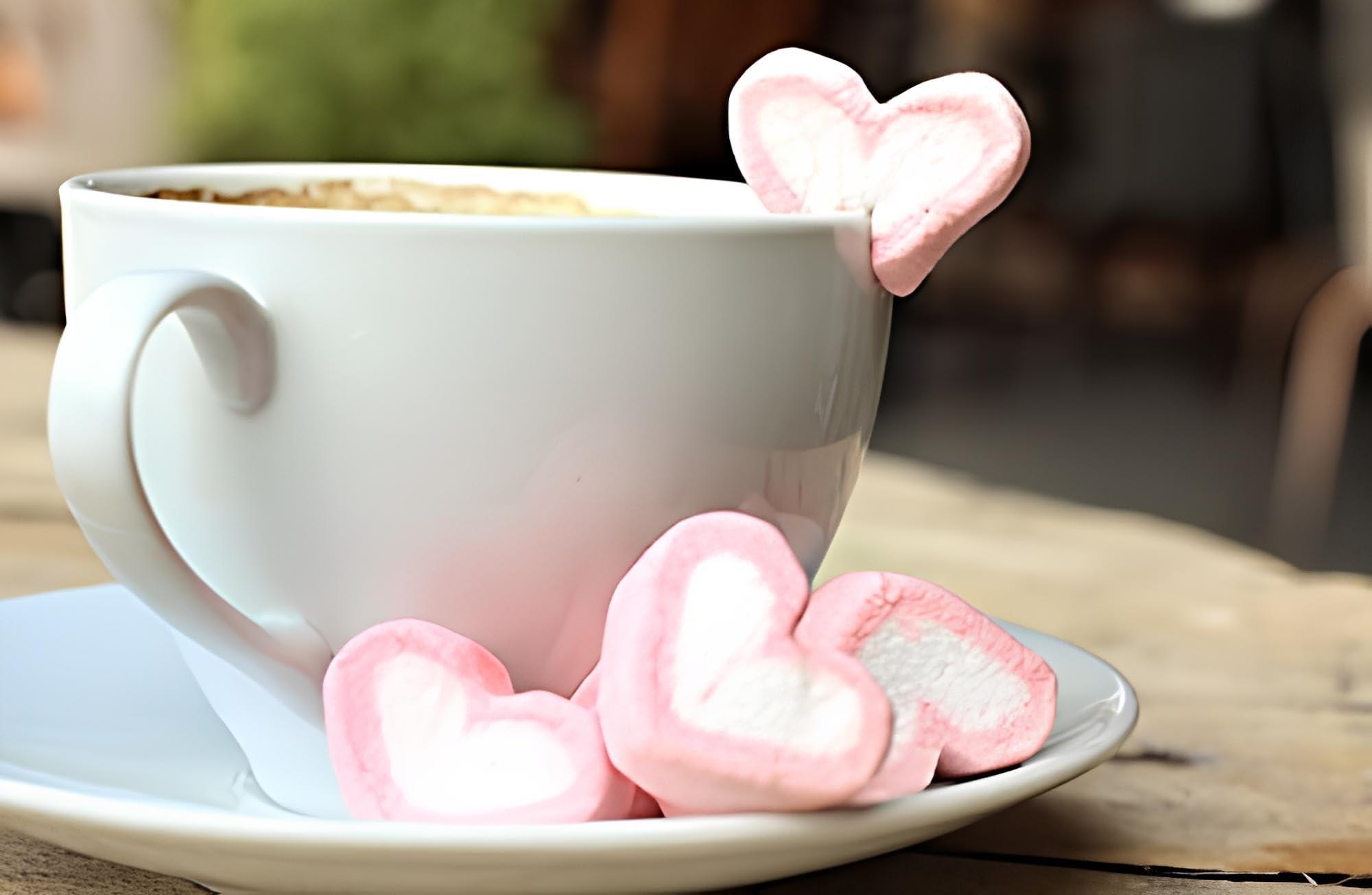 Youpick Tastify Vegan Pink & White Heart Marshmallows Candy - 175 Gms (80 Pieces) ~ Assorted Fruit Flavour ~ Pure Veg Heart Shape Marshmallow