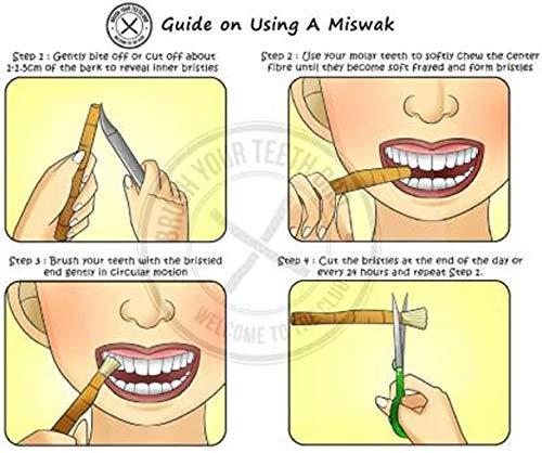 How to store use miswak