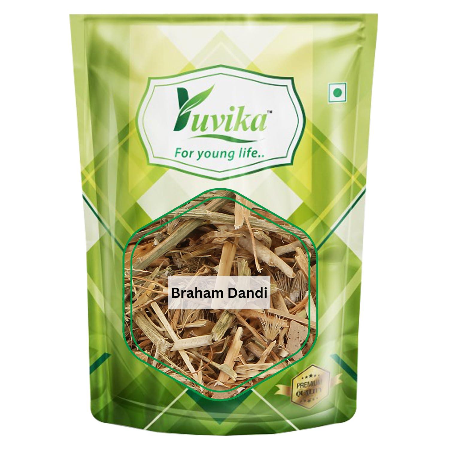Yuvika YUVIKA Braham Dandi - Brahm Dandi - Barham Dandi - Tricholepis Angustifolia (100 Grams)