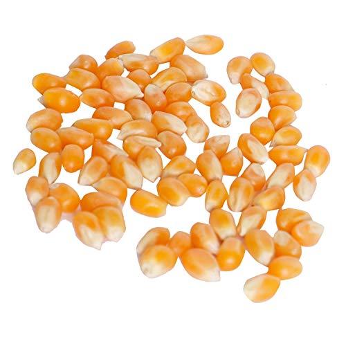 Popcorn & Company Popcorn & Company Popcorn Kernels Seeds Regular Tin 600 g