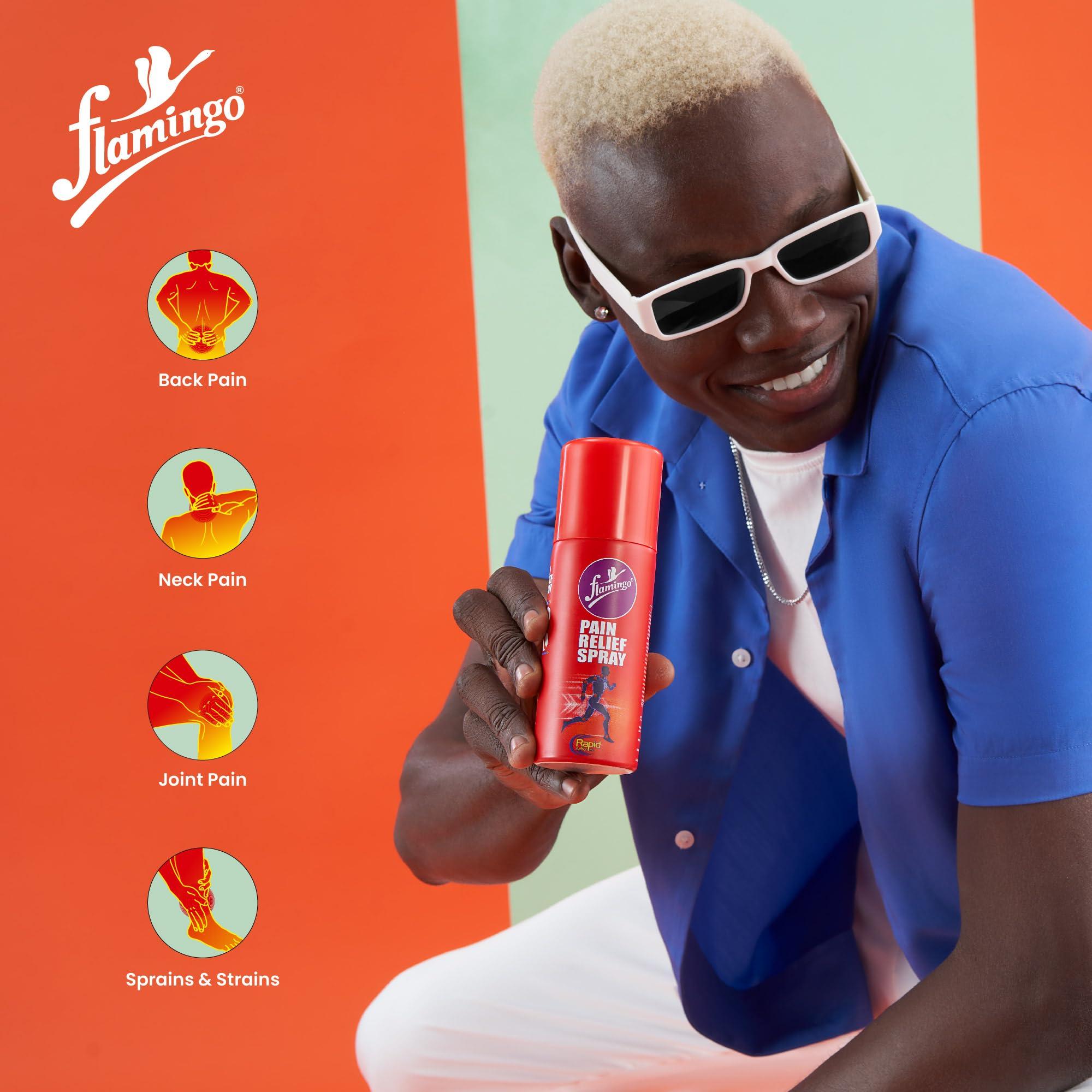 Flamingo Flamingo Pain Relief Spray | 100g | Pack of 1 | Effective in Muscle Pain, Back Pain, Joint Pain, Knee Pain & Ankle Pain | Suitable for Sports activities Fitness or Gym Workout injuries