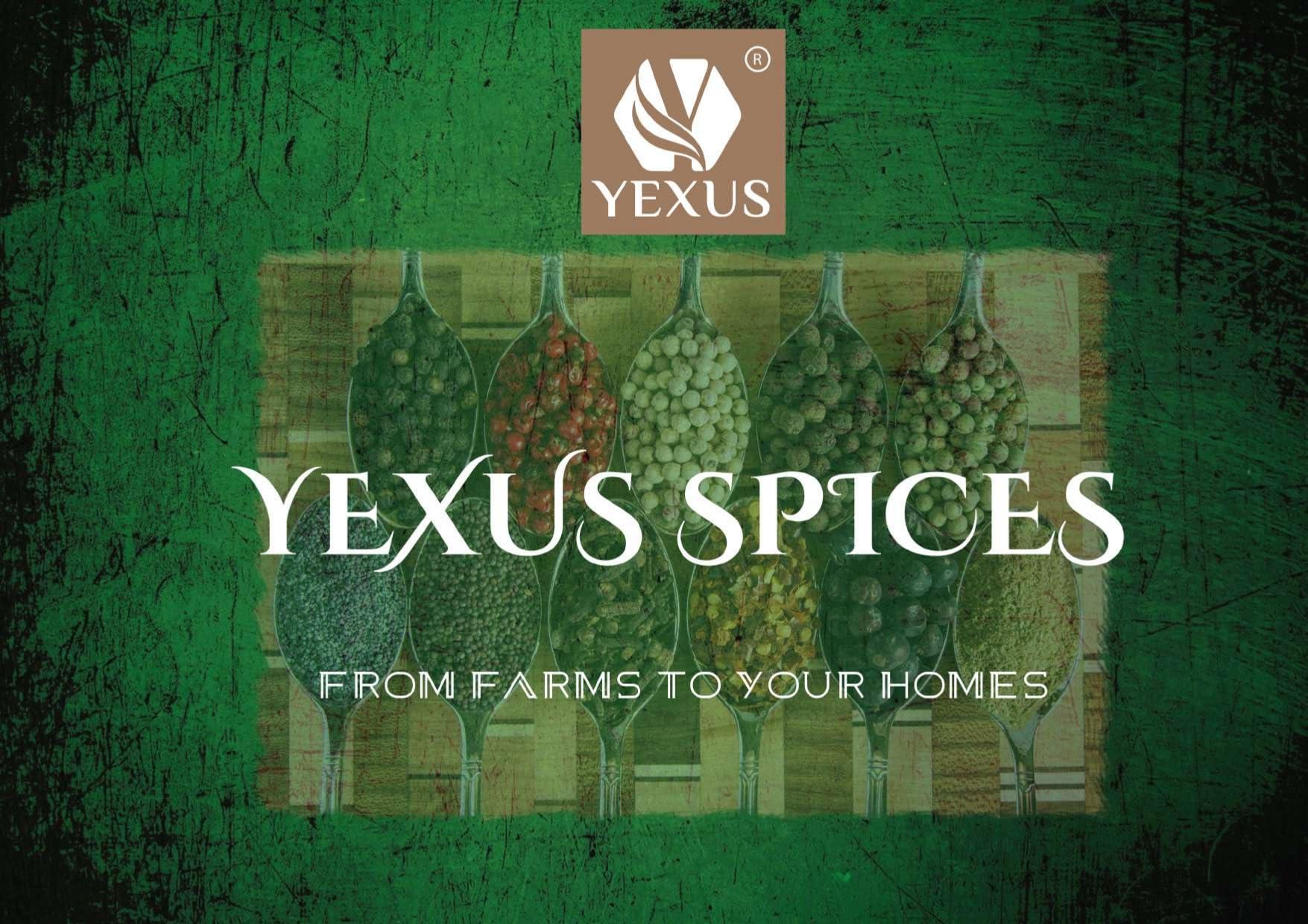 YEXUS Yexus Premium Ajwain Seeds, 50g | Ajmod | Jumud | Omam | Carom Seeds | Caraway | Thymol Seeds