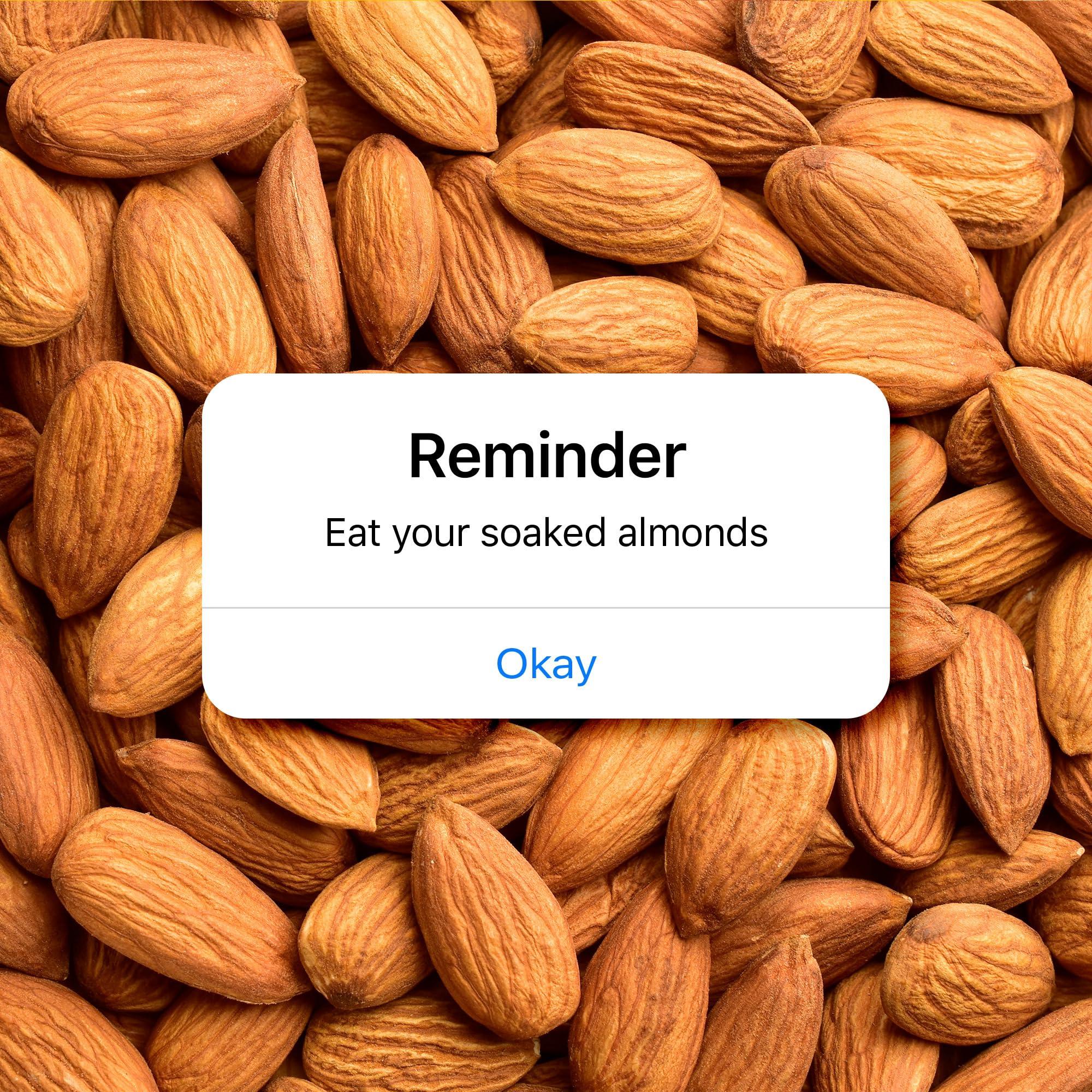 Yogabar Yogabar Premium California Almonds 500g|Badaam|100% Natural Crunchy Badam Giri|Nuts & Dry Fruits|Rich in Protein, Fibre, Vitamin E, Magnesium & Calcium|Healthy Snacks|Dry Fruit Gift Pack