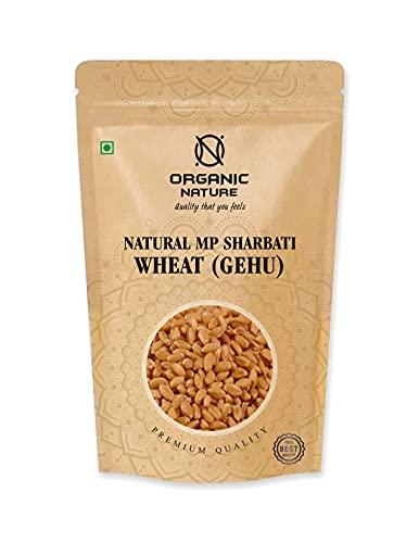 ORGANIC NATURE Organic Nature MP Sharbati Wheat Fresh from Farms | No Mixture | No Preservatives | Washed and Dried (Pack of 400 gms)