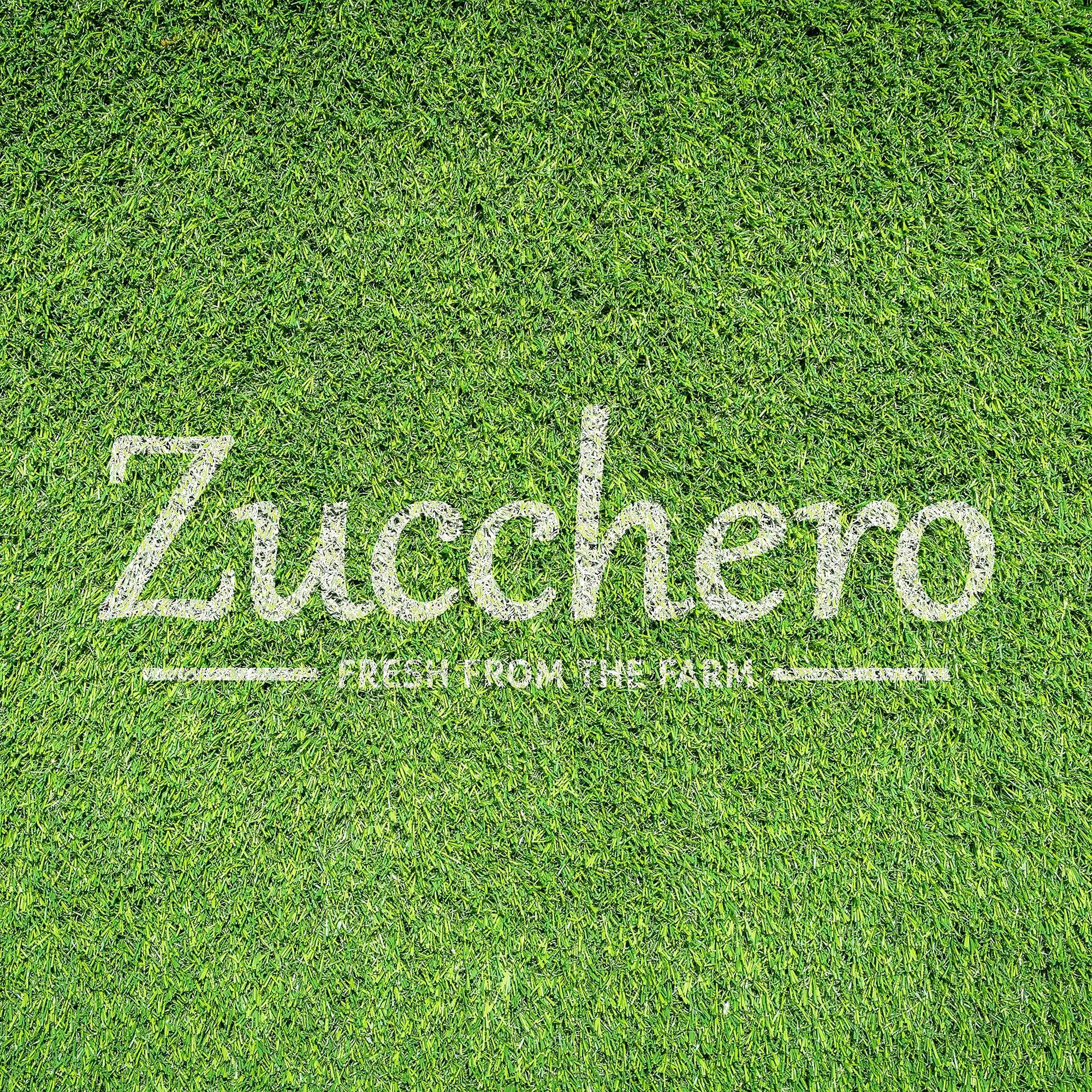 Zucchero Zucchero Whey Protein Peanut Butter, Crunchy, 200 grams - High Performance Spread | 34 grams Protein