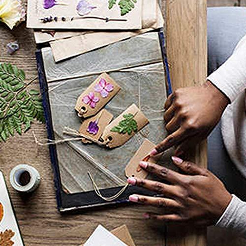 Anjetan Anjetan Real Dried Flower Natural Pressed Flower Leaves Dried Petal Dried Pressed Flower for Bookmark Natural Dried Petals Pressed Petals