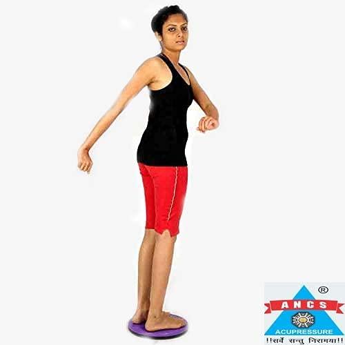 ANCS ANCS Acupressure Twister Body Weight, Tummy loss Fat Remove Weight Reducer House Gym Samll Size-DISC