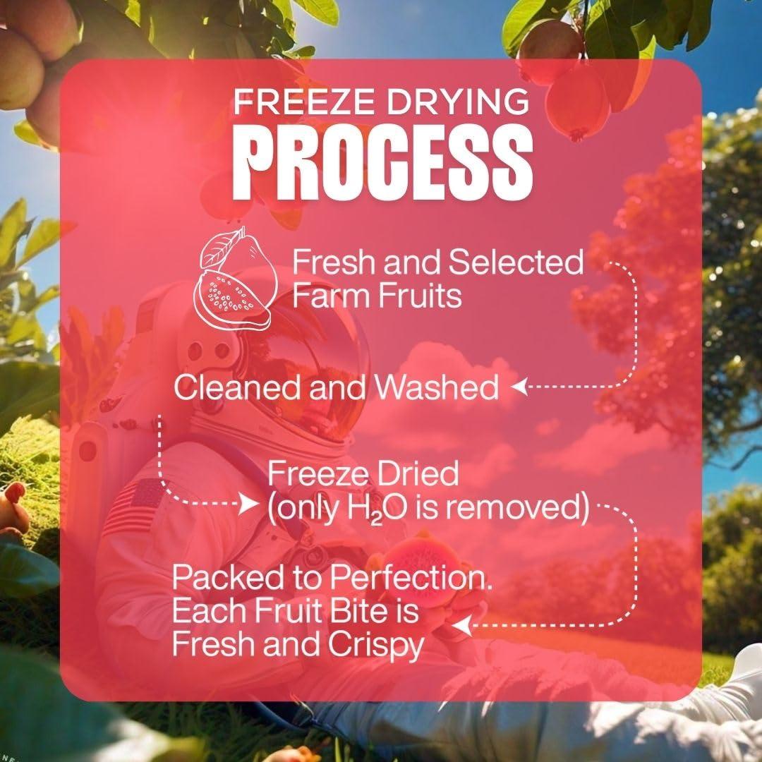 Moon Moon Freeze Dried Guava | No Preservatives, No Added Sugar, Healthy Dried Fruit | 100% Natural, Vegan, Gluten Free Snack for Kids and Adults | 16 g Pouch (Pack of 1)