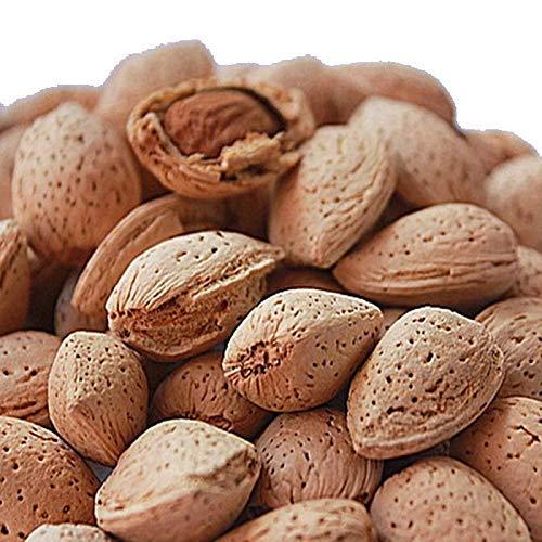 BELLANUTS BELLANUTS Sitarbai Almond | Sitarbai Badam | Inshell Almonds | Royal Almond dryfruits (500gm)