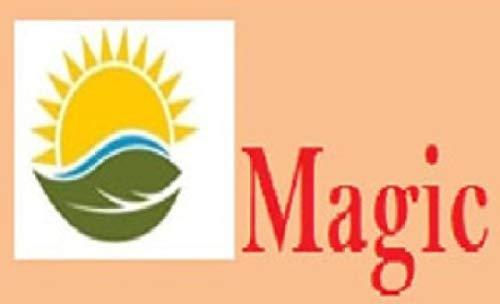 Magic Magic Dry Curry Leaves / Dried kaddi patta / metha neem Organic 1kg