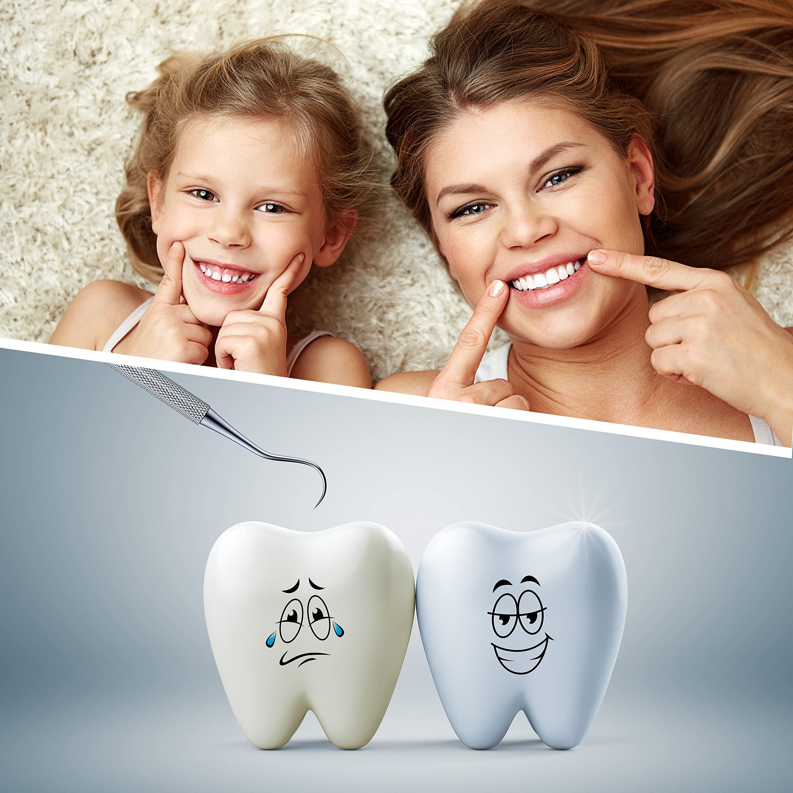 Utopia Care Utopia Care Professional Dental Tartar Scraper Tool - Dental Pick, Double Ended Tartar Remover for Teeth, Plaque Remover, Tooth Scraper, Dental Composite Filling Instrument - (6.5 Inch, Silver 1)