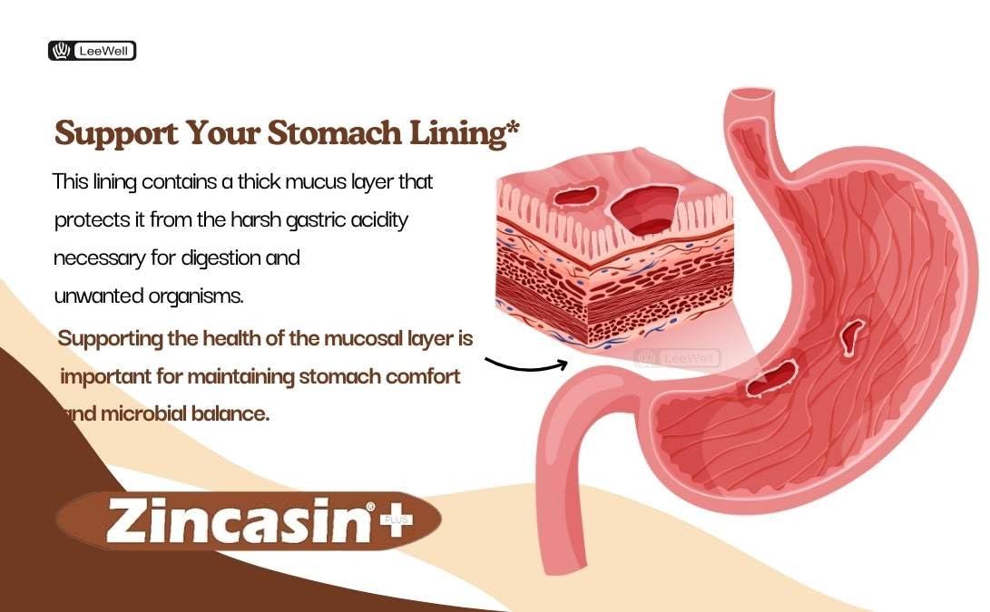 Zincasin zincasin +plus Zinc L carnosine, Vitamin U, DGL Deglycyrrhizinated Licorice Root, Mastic gum Supplements | Gastric Reflux, IBS, H pylori, Bloating, Gut health Support - 60 tablets