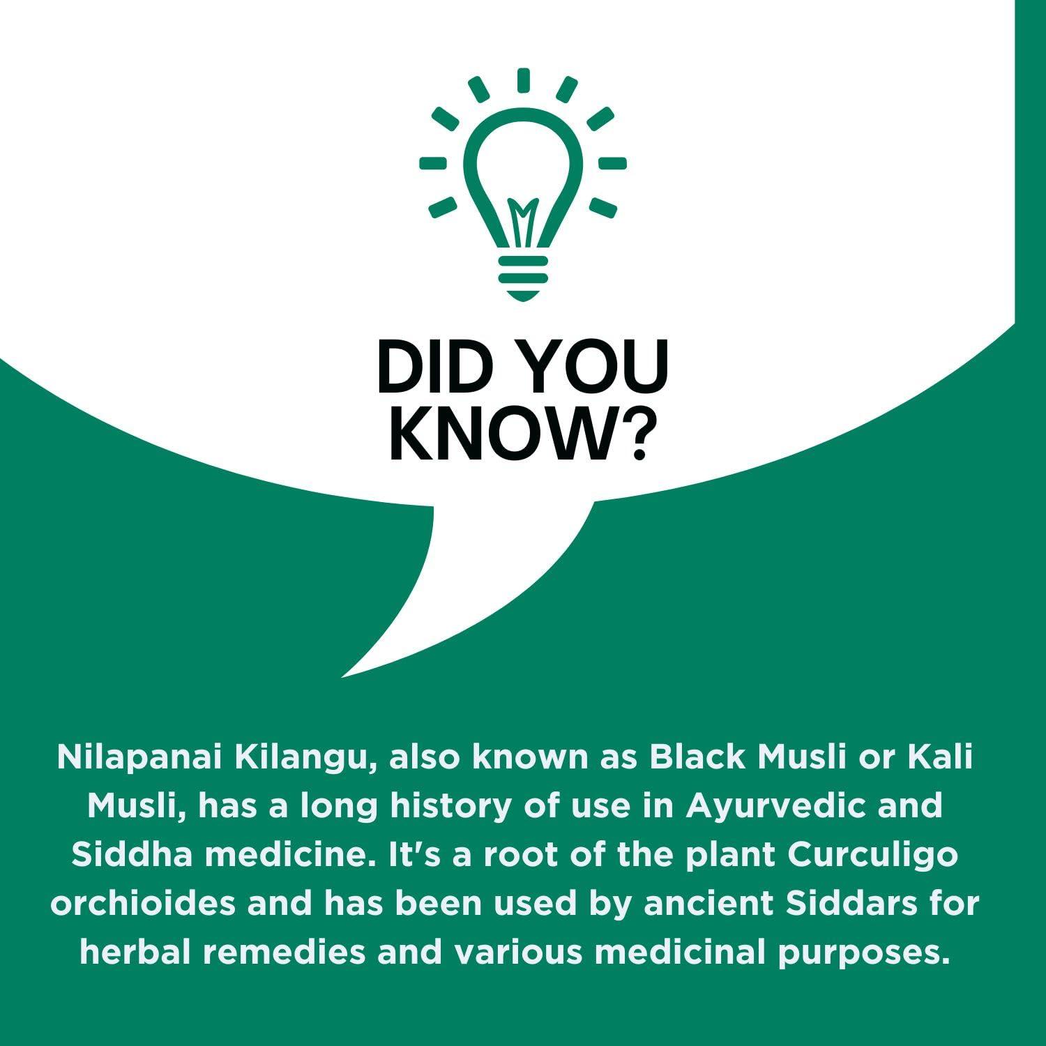 neotea Neotea Nilapanai Kilangu Powder | Black Musli (Kali Musli) | Curculigo Orchioides | Nelpana | Nelamuli Musli | Natural Nelatadi | Boosts Energy & Stamina | Improves Immunity | Supports Reproductive Health | Bone & Joint Support | Healthy Digestion 30