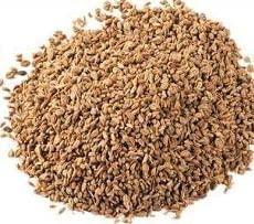 Easygrow Easygrow Ajmod Seeds | Ajmoda Seeds | Celery Seeds | - (200 GM)