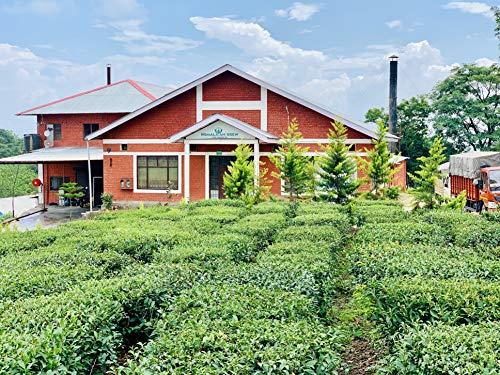 Himalayan Brew Himalayan Brew Green Tea 25 Pc