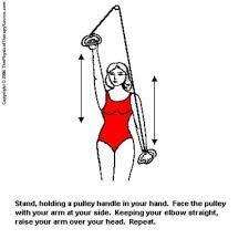 ACUND HEALTH CARE Acund Health Care shoulder pully physiotherapy paralysis exercise equipment Door Gym Rope Exerciser (Pully With handle Acupressure)