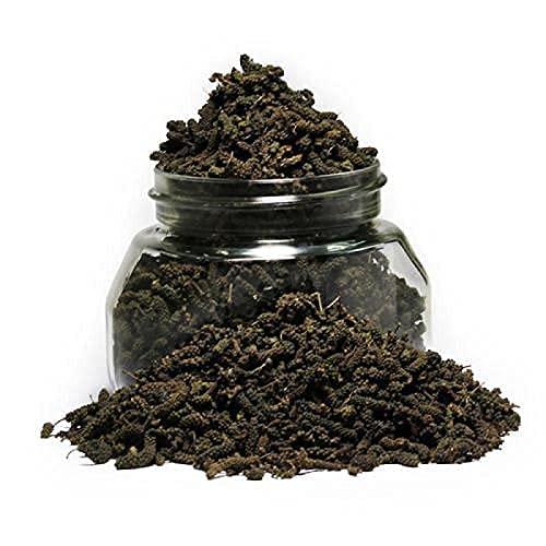 Herbanuts Herbanuts Whole Long Pepper Pippali 500gms, Pipal Badi Pippali Piper Longum Long Pepper, Pippali, Spices Pippali