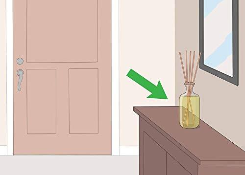 Pure Source India Pure Source India Reed Diffuser Oil Apple Cinnamon - 100 Ml, Reed Sticks - 8 Pieces, Natural White