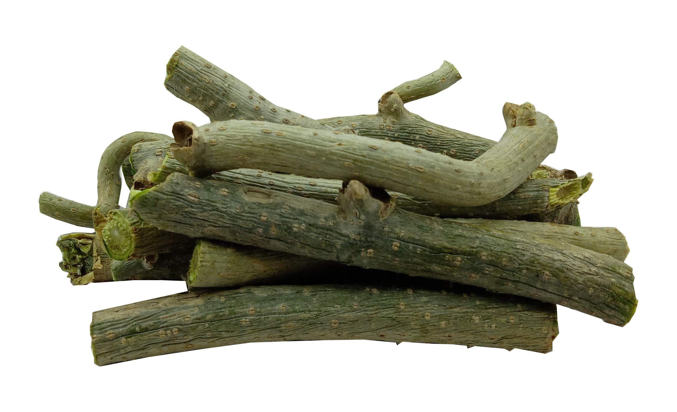 Generic Tinospora Cordifolia Ghanvati Giloy plant live 300Gm Giloy Sabut Guduchi Geeloh Amrita Guchcha Neem Giloy TM10