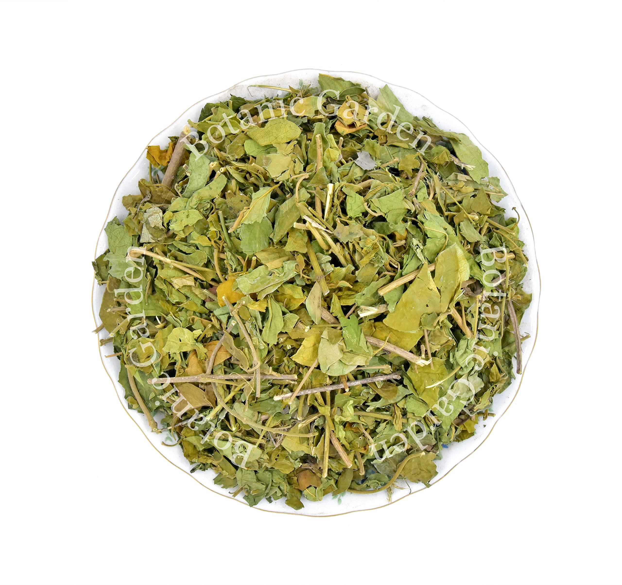 Botanic Garden Botanic Garden Raw Gudmar Patti Herb | Gymnema sylvestre | Meshashringi | Australian Cow Plant (500g)