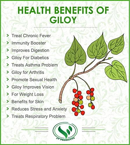 3V PRODUCTS Seenthil kodi Powder 50g | Guduchi Powder | Giloy | Amruthaballi | Tippa teega | Tinospora cordifolia Powder