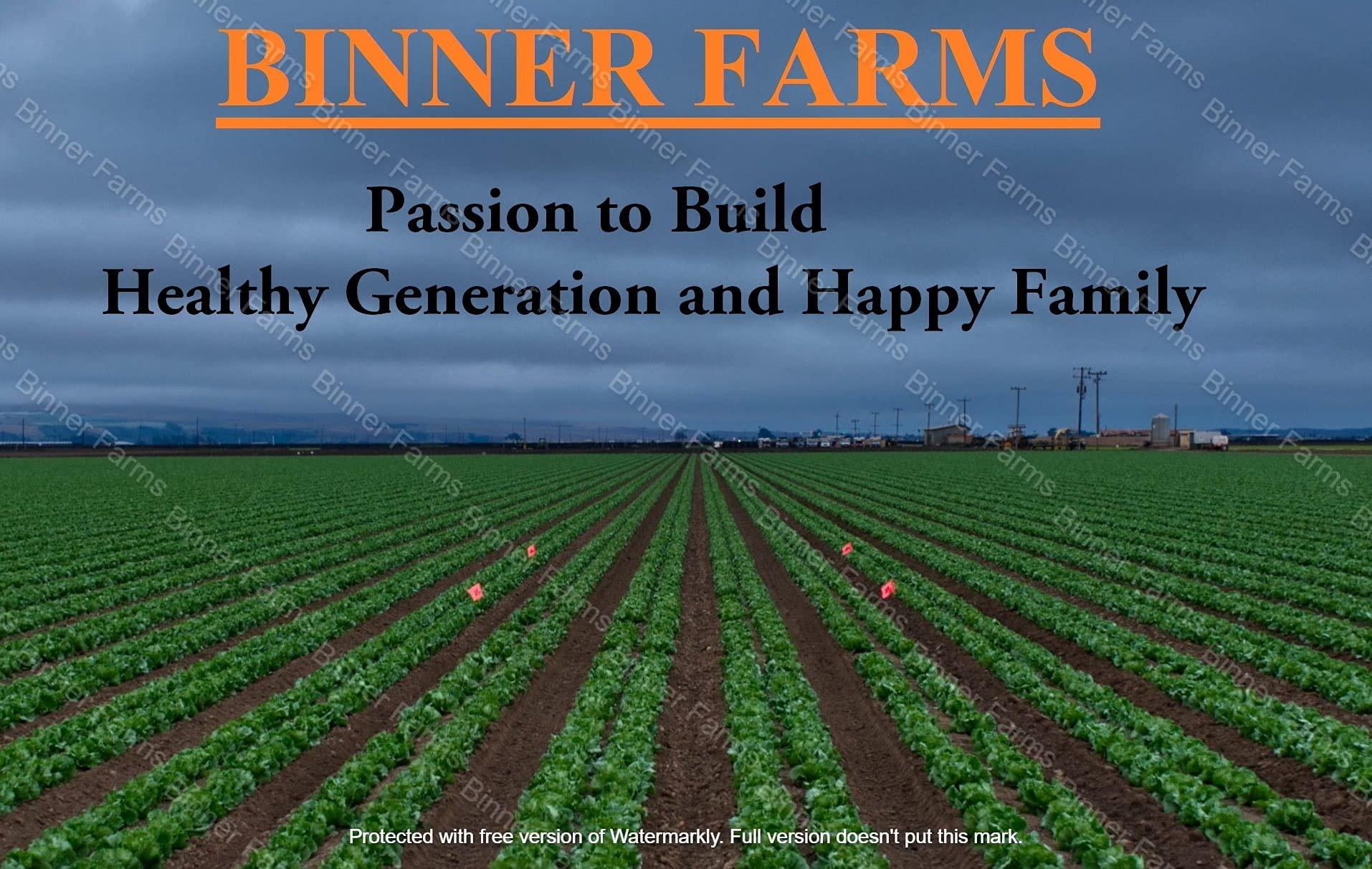 BINNER FARMS BINNER FARMS Homemade Amla, Apple, Bael, Bamboo/Bans and Behi/Quince Murabba (Seedless) with Honey Gulkand Flavor of ELAICHI VACCUME PACKED WITHOUT LIQUID- 800G Each(Total 4000G)