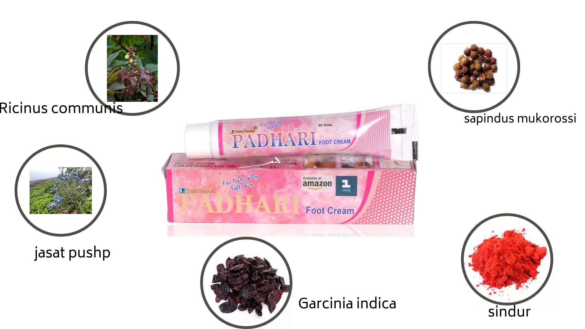 Generic Trust Pharma Padhari Foot And Palm Crack Healing Cream 20 gm * 3 pcs pack of 1