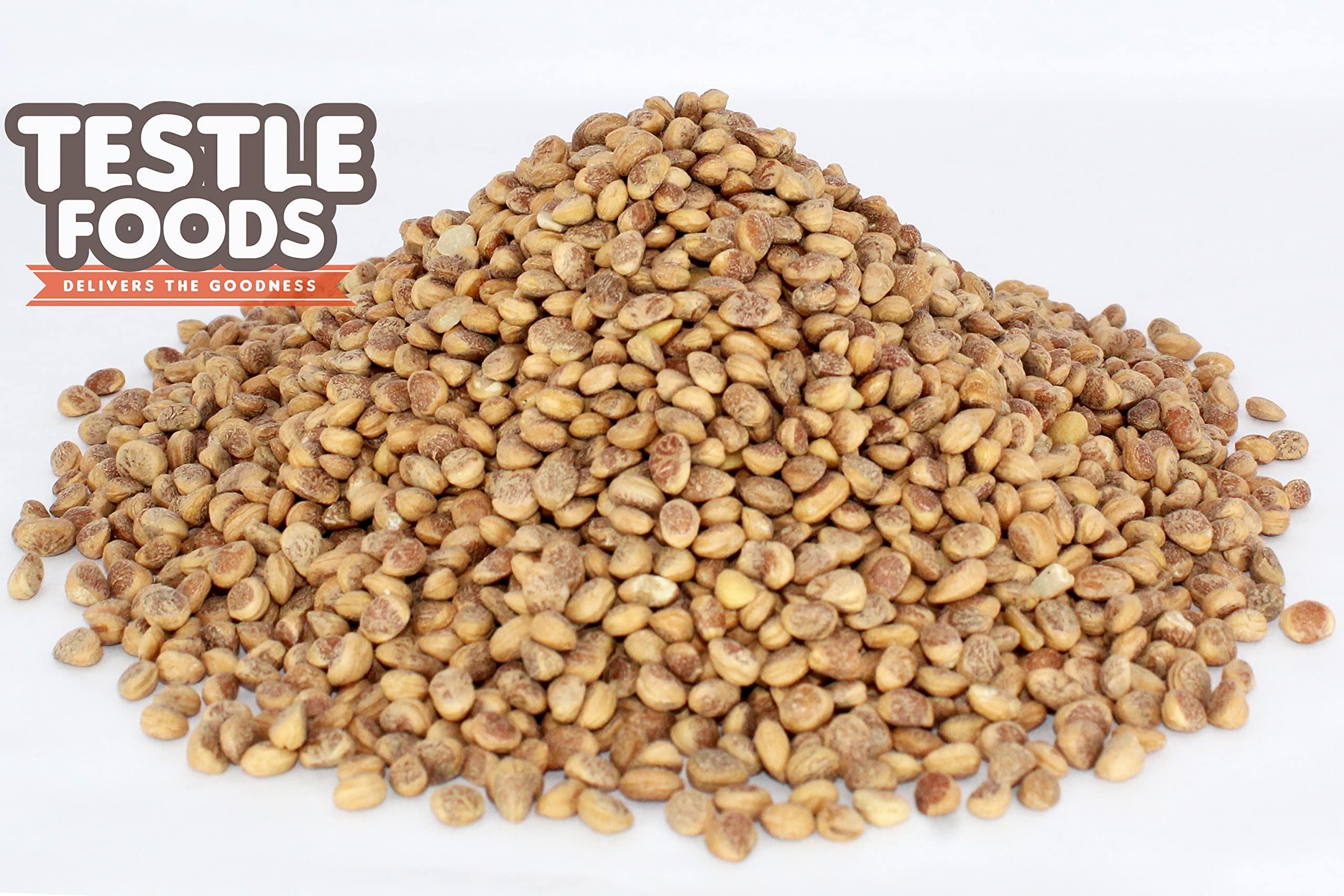 Testle Foods Testle Foods - Almondette Kernels | Charoli | Chironji - 400g