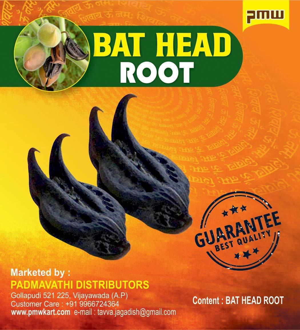 pmw Pmw - Bat Head Roots - Devil Pod - Evil Pod - 10 Pieces - For Good Health Wealth & Happiness