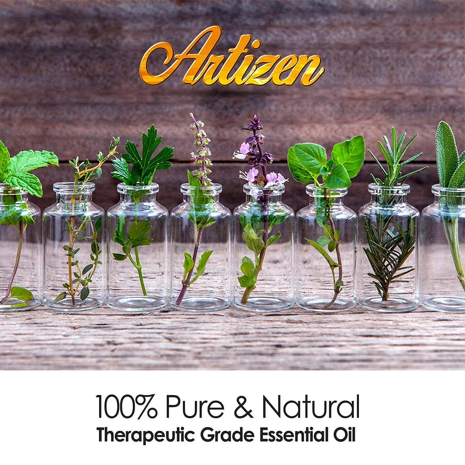 Artizen Artizen Nutmeg Essential Oil (100% PURE & NATURAL - UNDILUTED) Therapeutic Grade - Huge 1oz Bottle - Perfect for Aromatherapy, Relaxation, Skin Therapy & More!