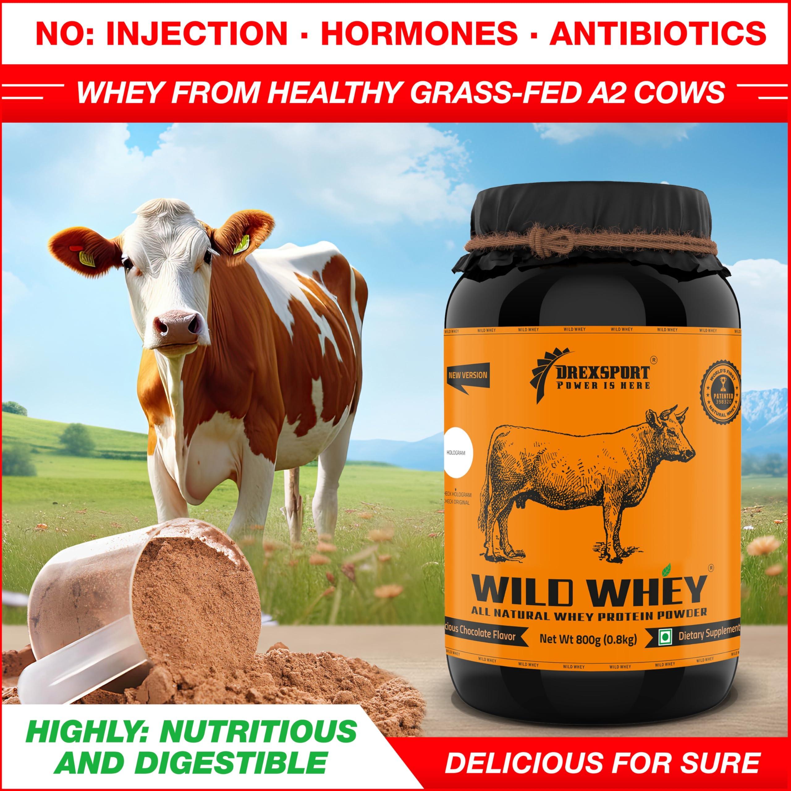 DREXSPORT DREXSPORT Wild Whey Protein Powder - Organic Isolate Blend Based on Grass-Fed Cows Whole A2 Milk - Premium, All-Natural and Chemical-Free (Chocolate 800g Net, 1kg Pack)