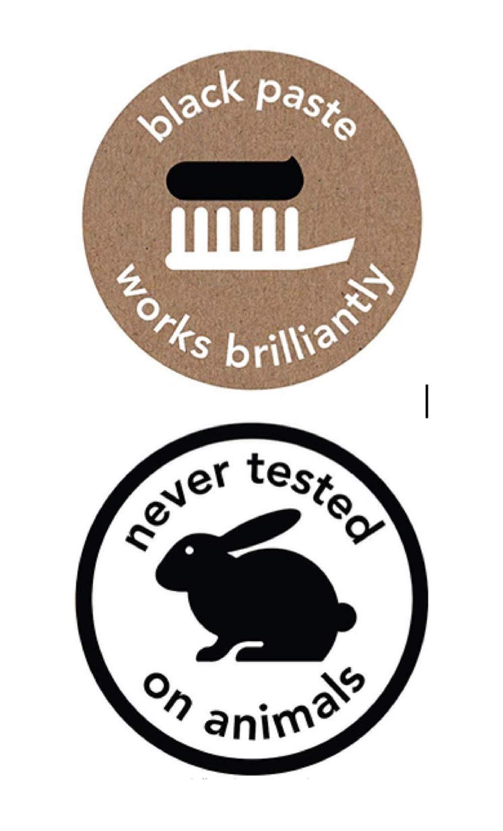 Hello Oral Care Hello Oral Care Activated Charcoal Fluoride Whitening Toothpaste, Vegan & SLS Free, 4 Ounce