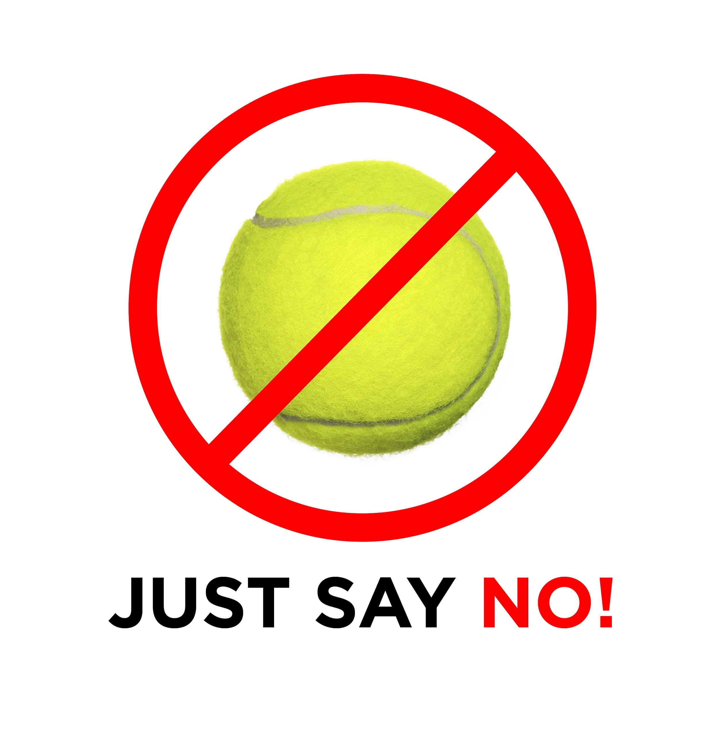 Nova NOVA Medical Products Walker Glide Skis for Heavy Duty Walker, One Pair, Gray