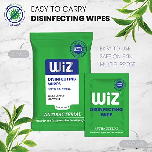 wiz LIQUID SOAP Wiz Antibacterial Easy to Use Safe on Skin Multipurpose 30 Pulls Disinfecting Wipes Assorted Super Value Pack of 10