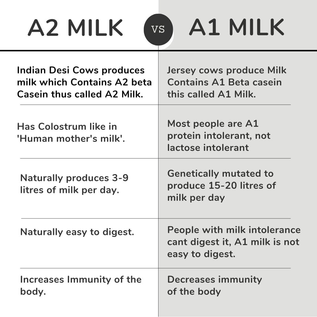 Organik Singh Organik Singh A2 Gir cow desi ghee - 500ml | Vedic Bilona Method | A2 Certified | Curd-Churned Desi Gir cow ghee | Grass-fed Gir Cows | Lab Tested | Packed in Glass Jar