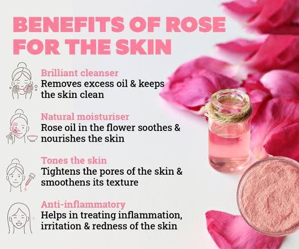 BN GREEN TECH ENTERPRISE -8807735011 Natural Paneer Rose Petals dried 100g|Gulab Patti | Dried Rose Petals | Use in Tea, Baking, Making Rose Water, Crafting)|100% Edible for Food uses