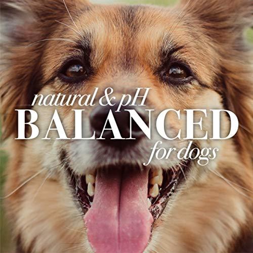 Burt\'s Bees Burts Bee Ear Cleaning, 4-Ounce