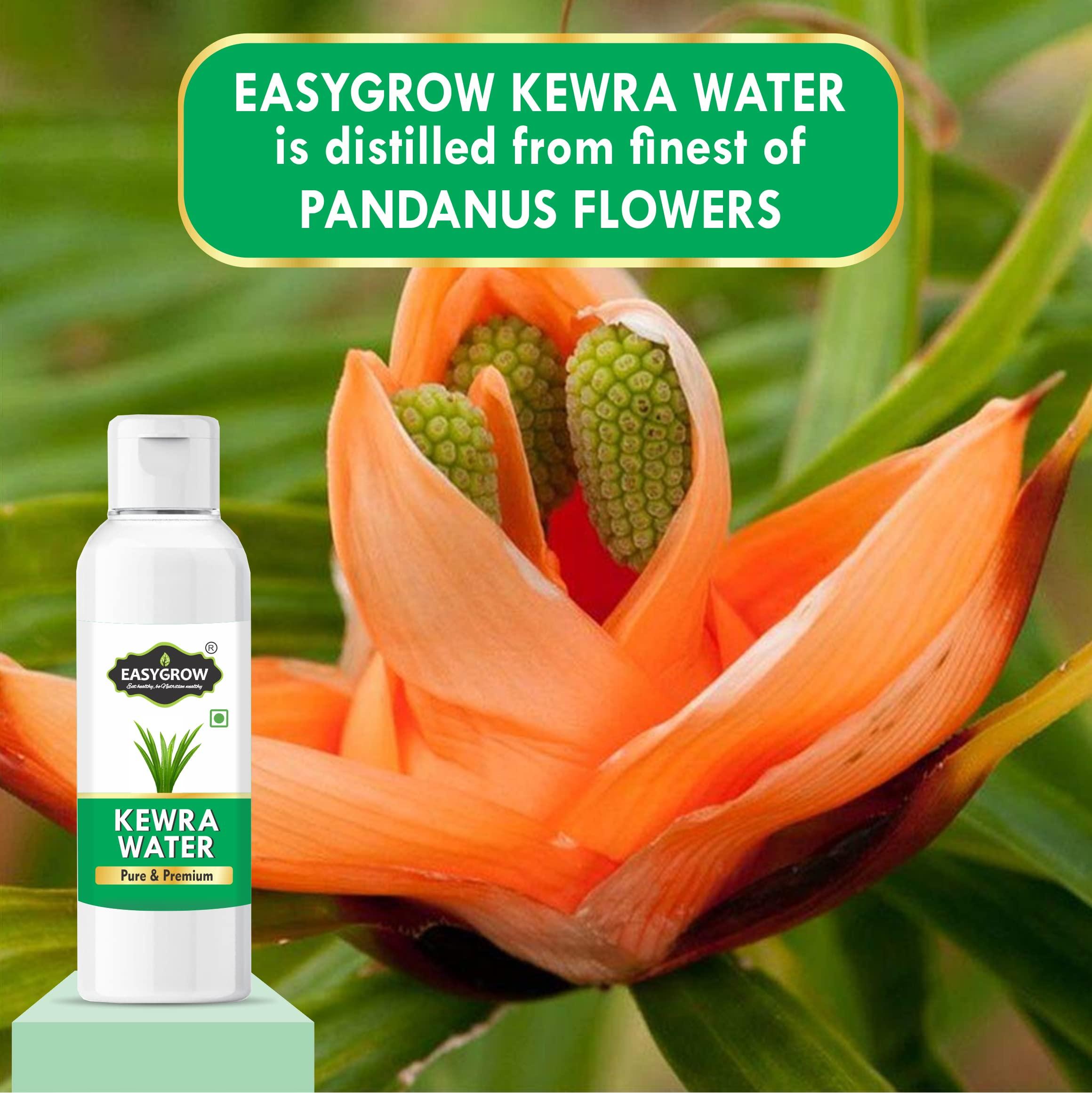 EASYGROW Easygrow Premium Kewra Water (Pandanus) - Essense for Biryani, Sweets & Other Dishes (200 ml)
