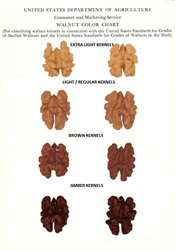 AMSON 3P Kashmiri Regular | Organic| Natural|Akhrot|Vlaue Pack|Akhrot giri|Wallnut|Walnut Kernels 400 gm (200 gm x Pack of 2)