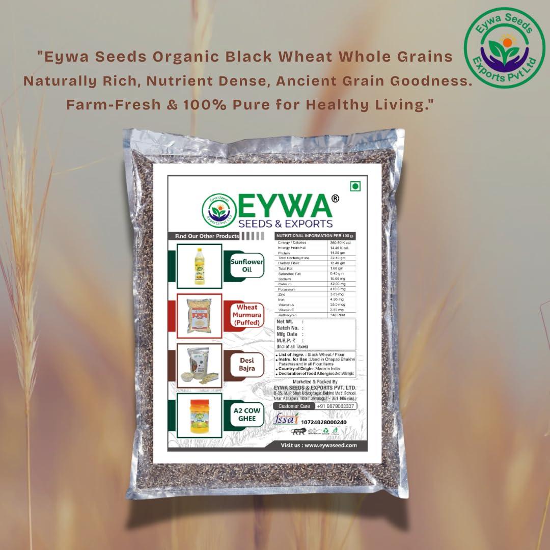Eywa Seeds & Exports Pvt Ltd BLACK WHEAT GRAINS (15 KG) for eating and cooking | kale gehu daane | Produce of India from Organic Farms | BY EYWA