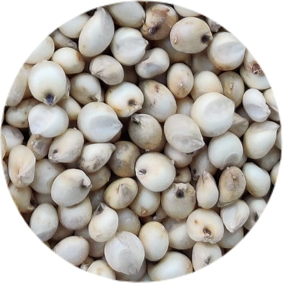 Kitchen Jungle Kitchen Jungle Seven Assorted Grains | 7 Dhan | Dhaan | sapt dhany for Pooja (  / 7 ) (10 Grams Each)