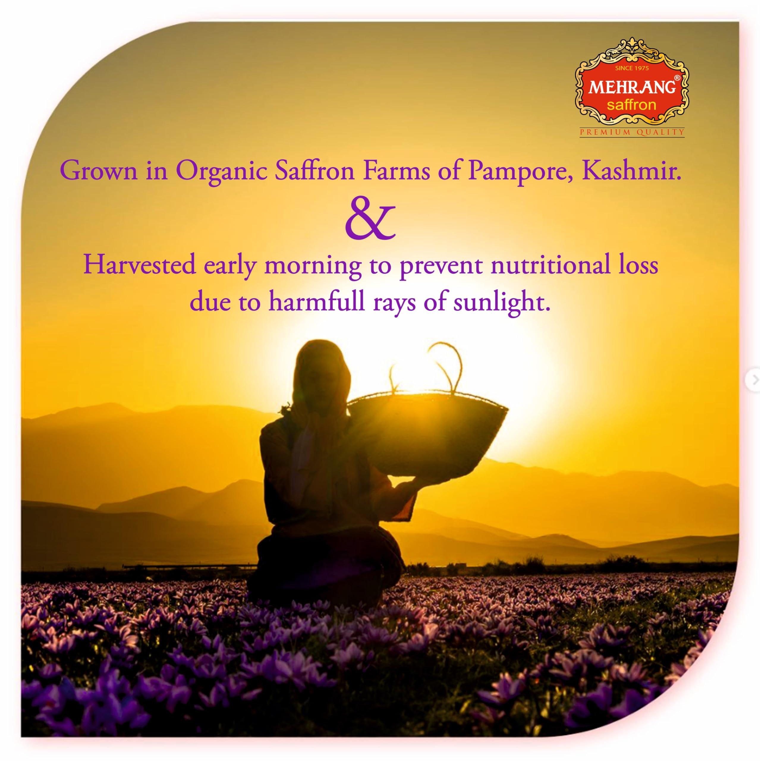 Mehrang Mehrang Saffron Original Kashmiri 5 Grams | Kashmir Kesar | Keshar | A+++ Grade Luxury Quality | Grown in Saffron Farms of Pampore | ISO 9001:2015, 22000-2018, HACCP, GMP Certified | Pack of 1